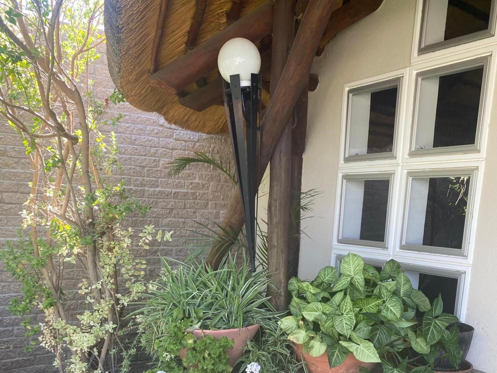 קיטמנשופ Bird'S Nest Guest House מראה חיצוני תמונה