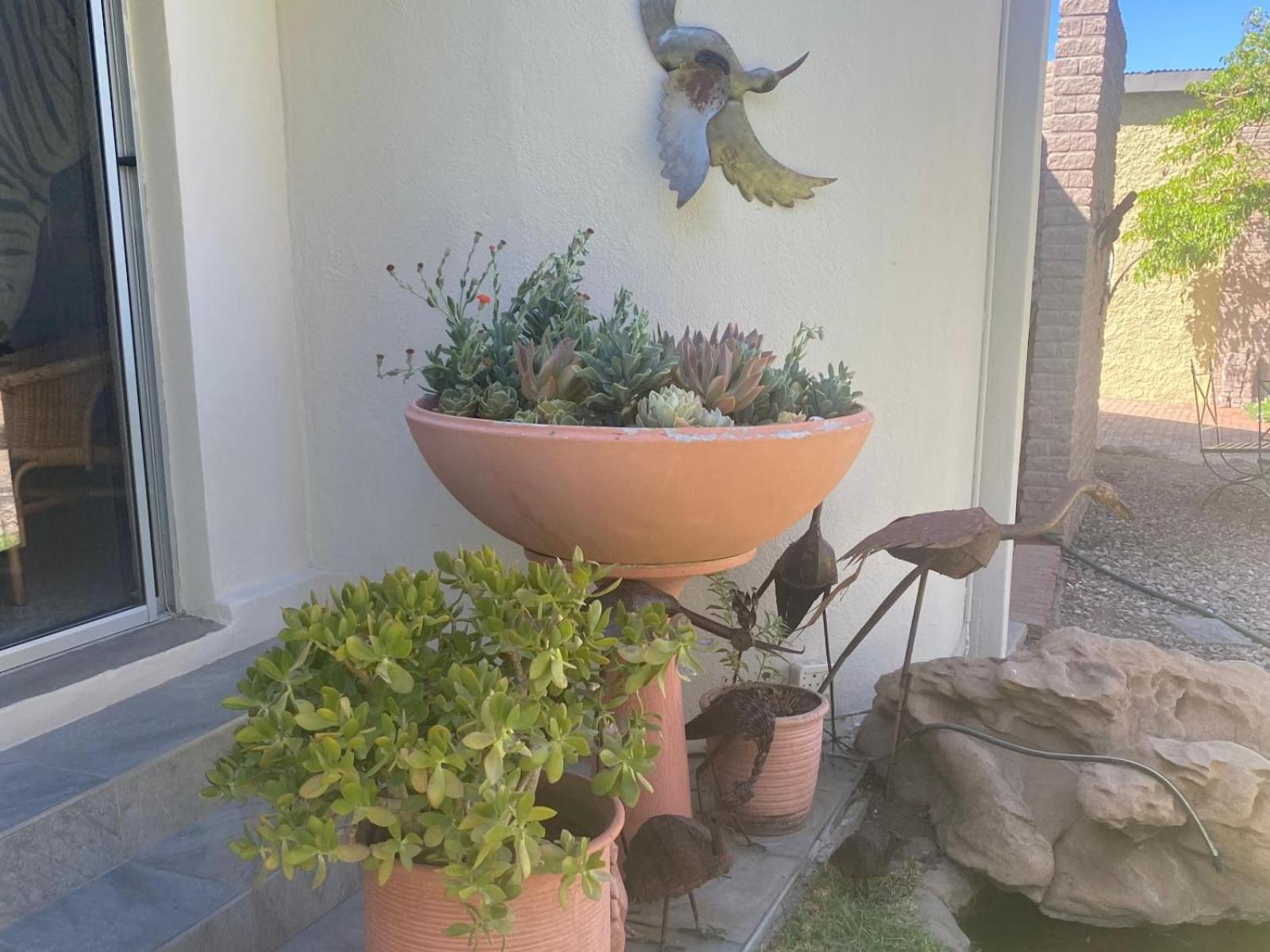 קיטמנשופ Bird'S Nest Guest House מראה חיצוני תמונה